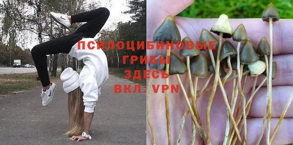 дмт Семёнов