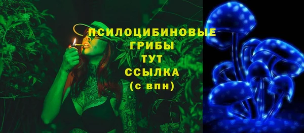 apvp Алексин