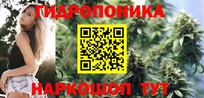 бошки Донской