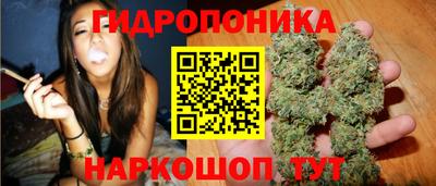 бошки Донской