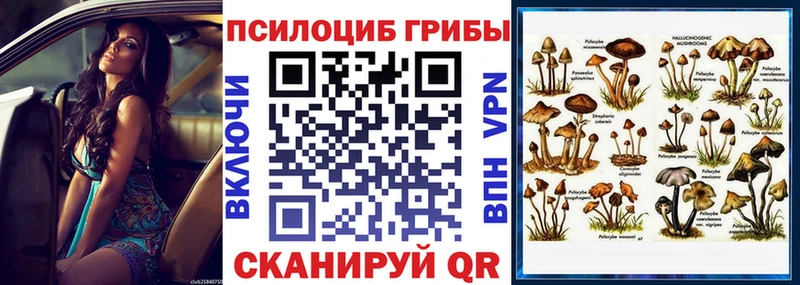 Псилоцибиновые грибы Psilocybine cubensis  где продают наркотики  Междуреченск 