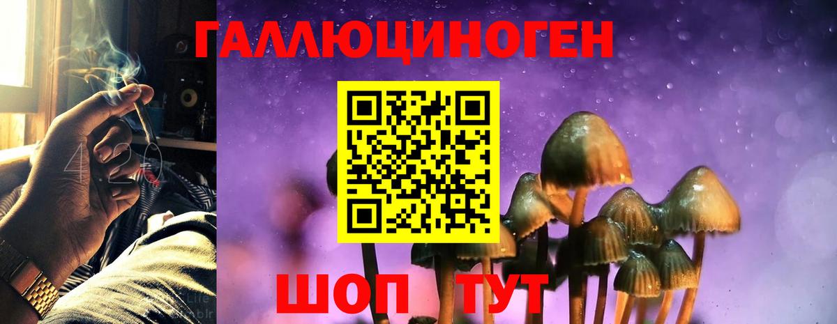 Галлюциногенные грибы Cubensis Междуреченск